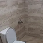 при рени