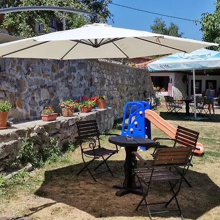 при рени