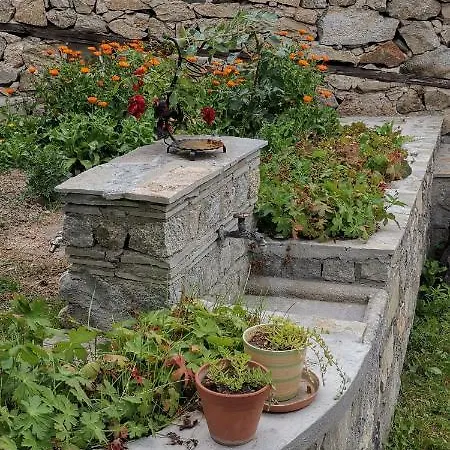 при рени Apartman Koprivstica