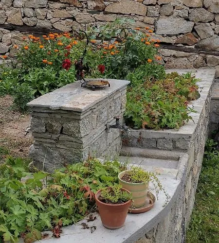 при рени Apartament Kopriwsztica